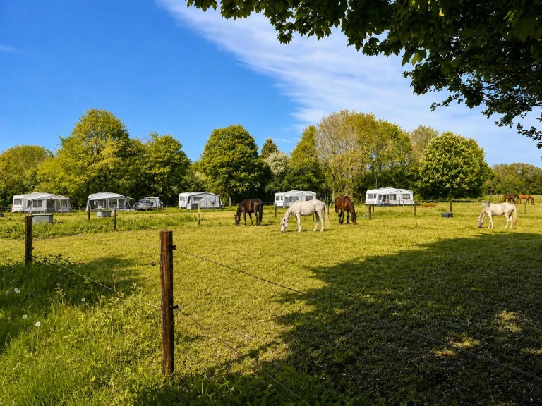 Camping Boszicht